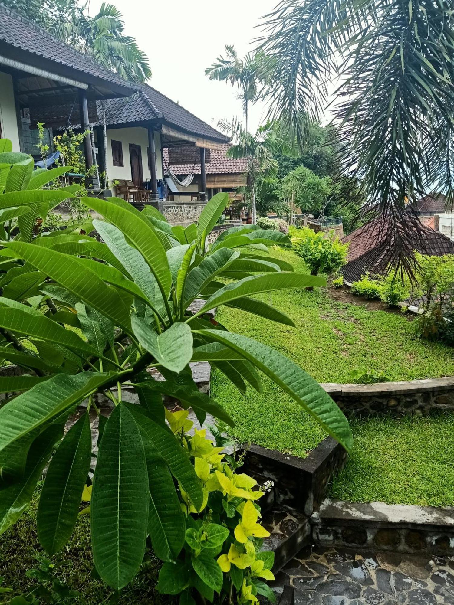 Bamboo Bali Apartment Amed Cameră foto